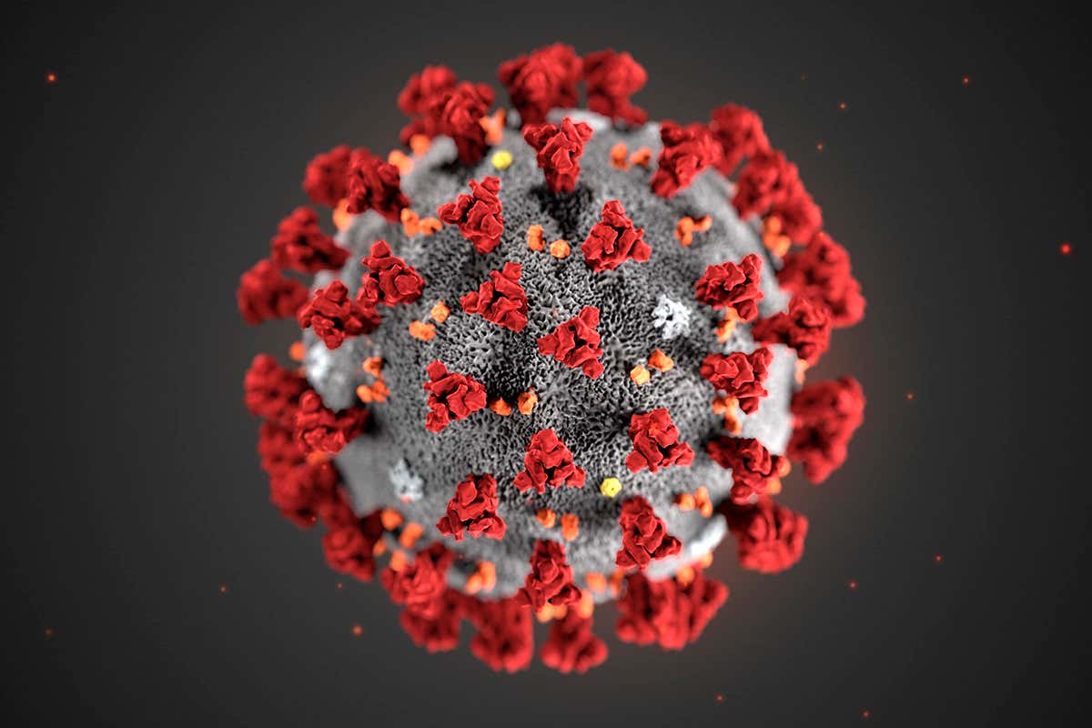 covid-19 virus illustration