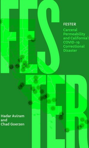 Fester Book Cover